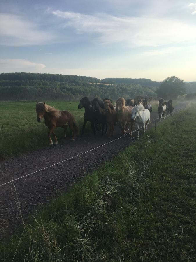 Ferienwohnung Alexa Walshausen Zewnętrze zdjęcie